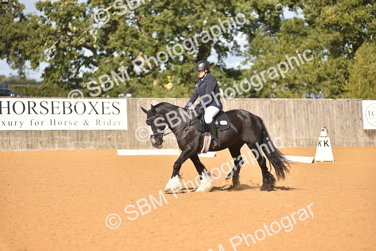 SBM_03253 - D4 - Small Tour Championship Intro 4