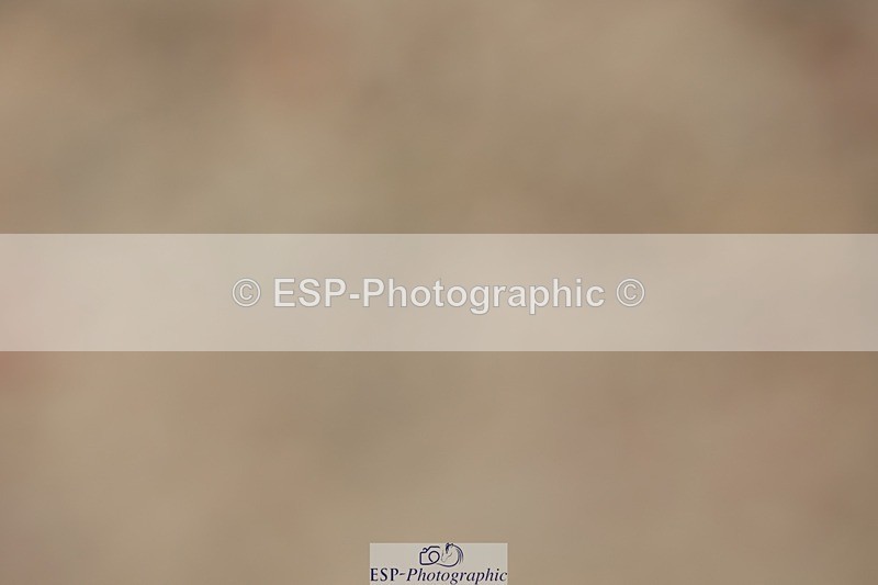 250621-135432-09248 - Cls 38 - FEI PSG