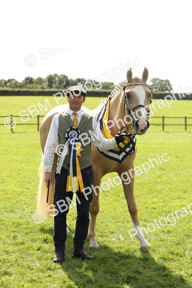 SBM_66343 - In Hand Pony & Youngstock Supreme Championship