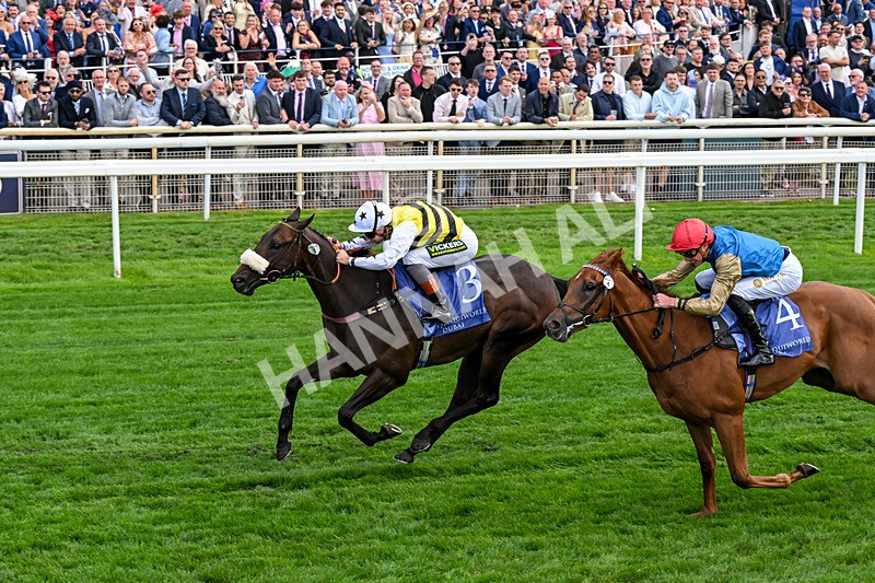 210826-Race 3-Arapaho Gold-0207 - Race 3 15.00pm Al Basti Equiworld Dubai Gimcrack Stakes