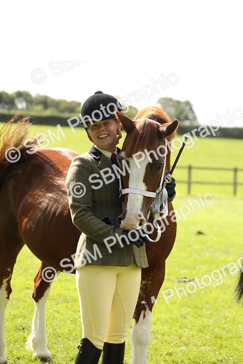 SBM_65506 - S47 - Mountain & Moorland In Hand Large Breeds