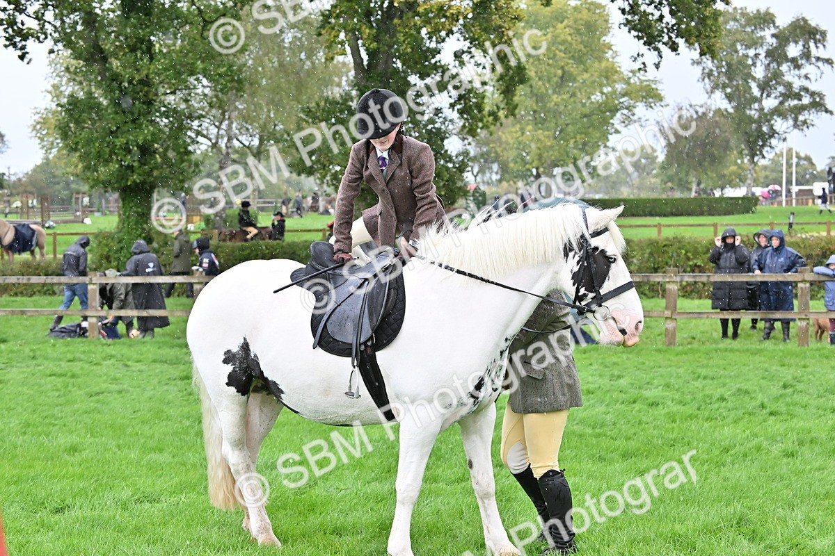 SBM_43031 - S12 - Family Horse & Pony