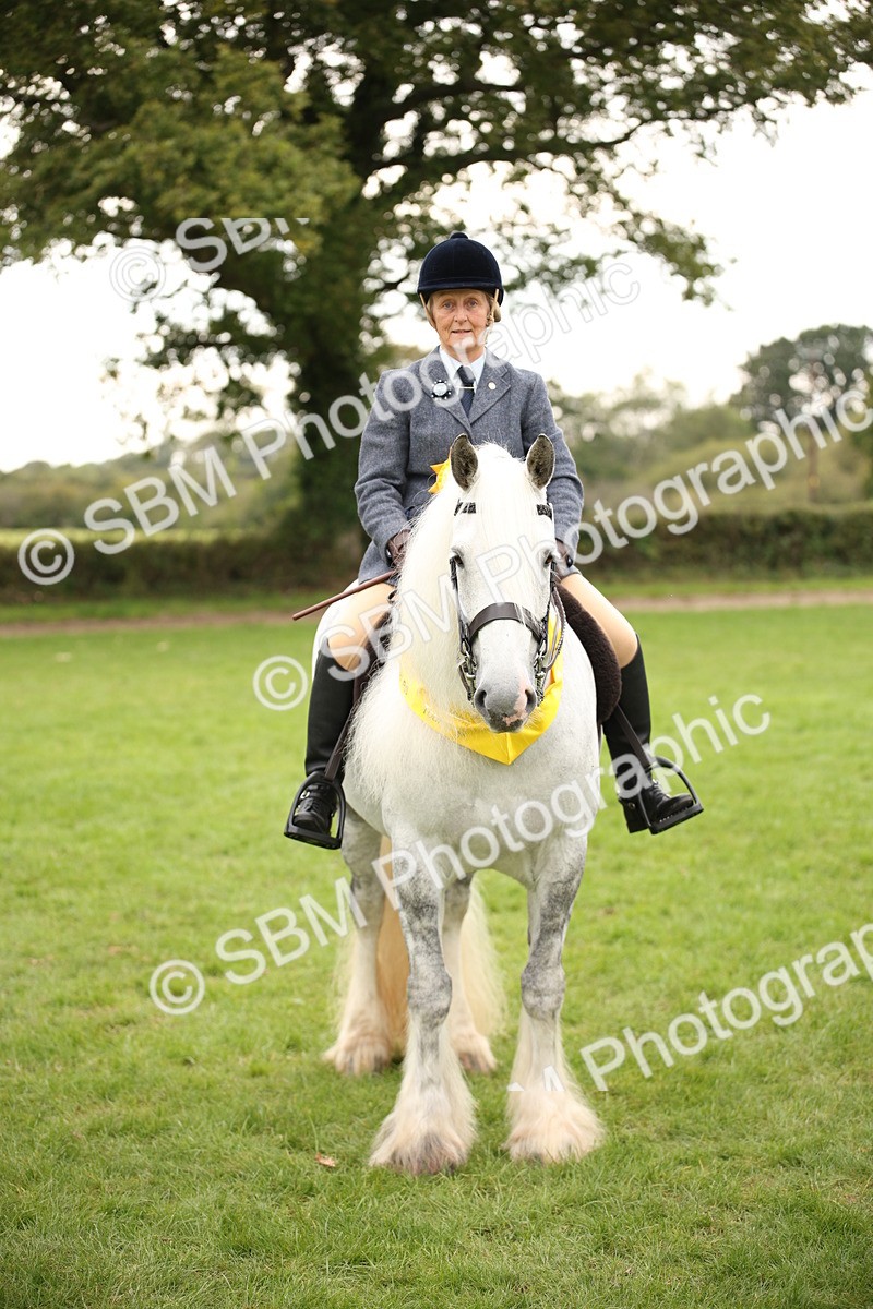 SBM_73583 - S68 - Traditional Cob Ridden