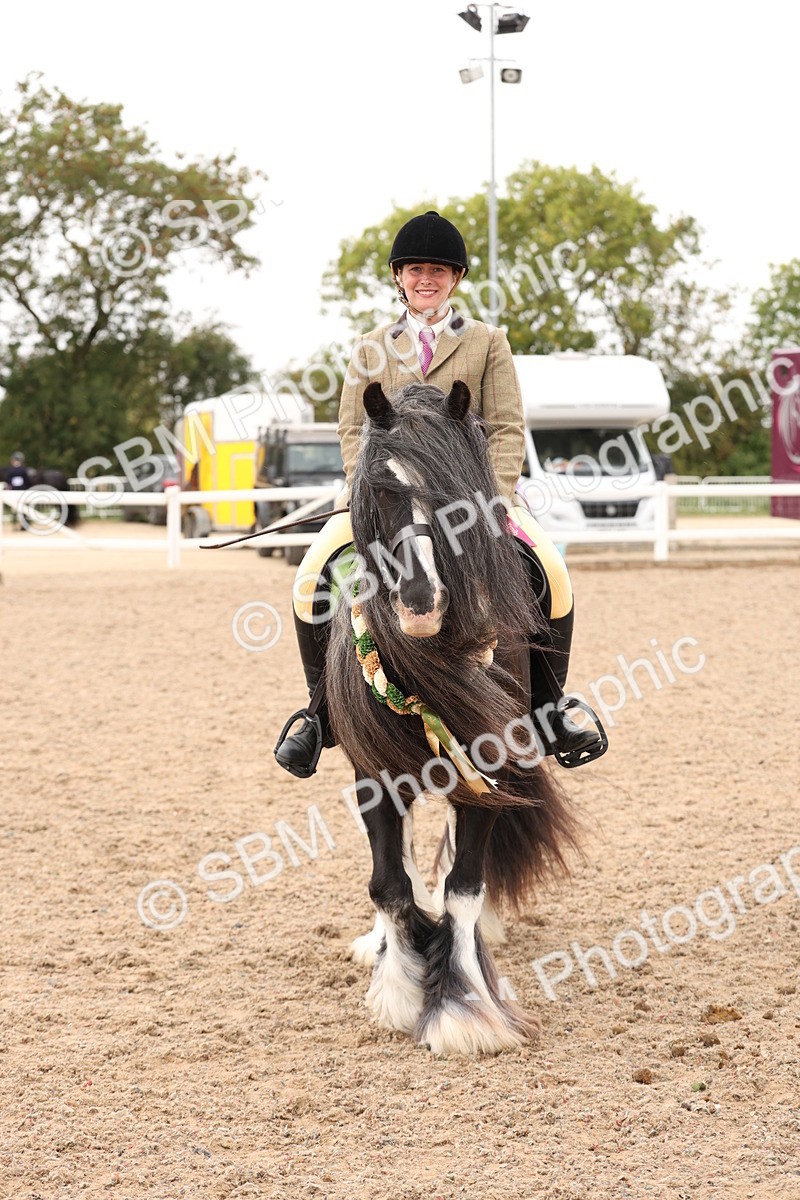 SBM_19743 - Class 216 - Ridden Traditional - Native Cob