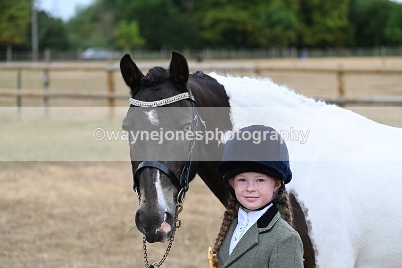 WJ7_9702 - Class 5 Most Handsome Gelding (up to 14.2hh)