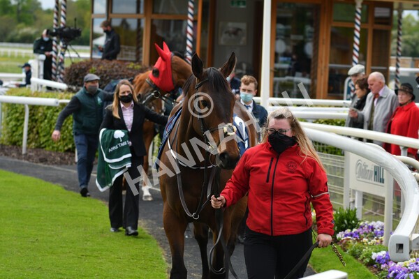 yr22052021r2-5 - Race 2 2.40pm William Hill Brontë Cup
