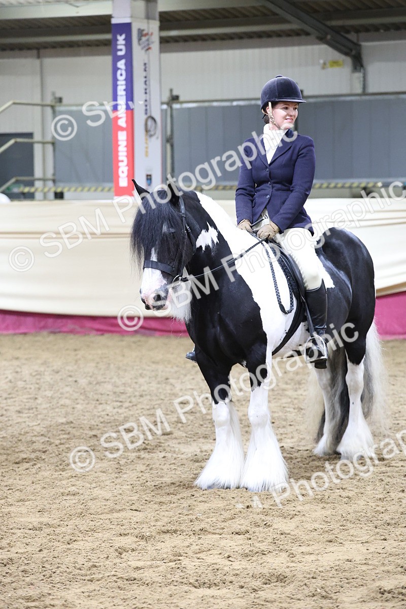 SBM_20245 - Class D - Grass Roots Champ