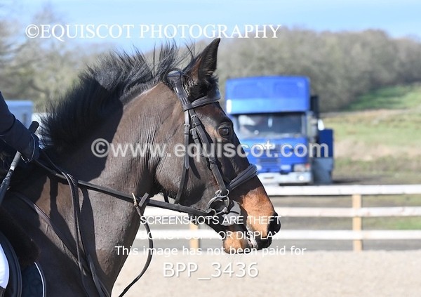 BPP_3436 - CLASS 4 Senior British Novice/ 90cm Open