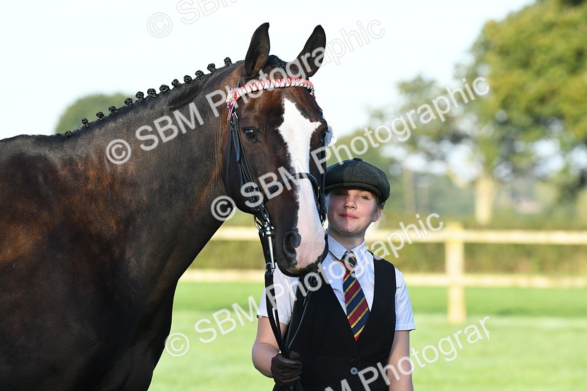 SBM_32647 - S15 - Condition & Turnout In Hand