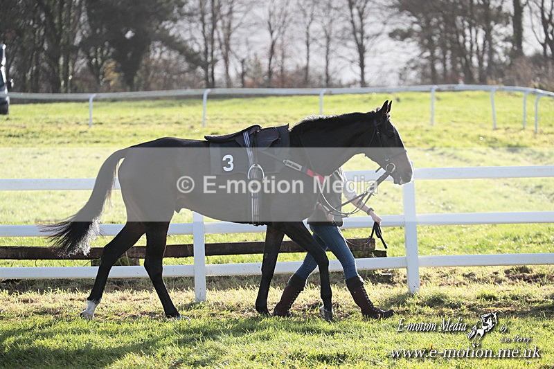 PtP 011224 455 - Hursley Hambledon Point-to-Point Larkhill 01/12/24