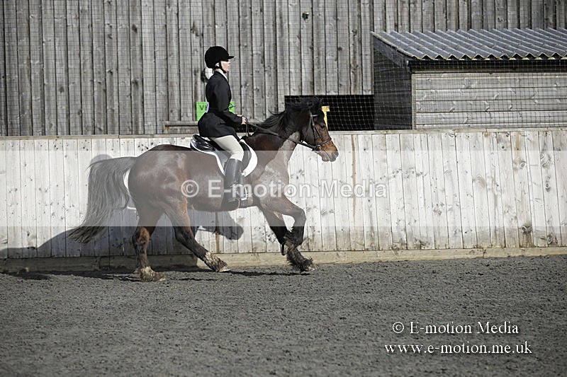 BVRC 050320 0073 - Bourne Valley riding Club Show Jumping Tidworth 08/03/20