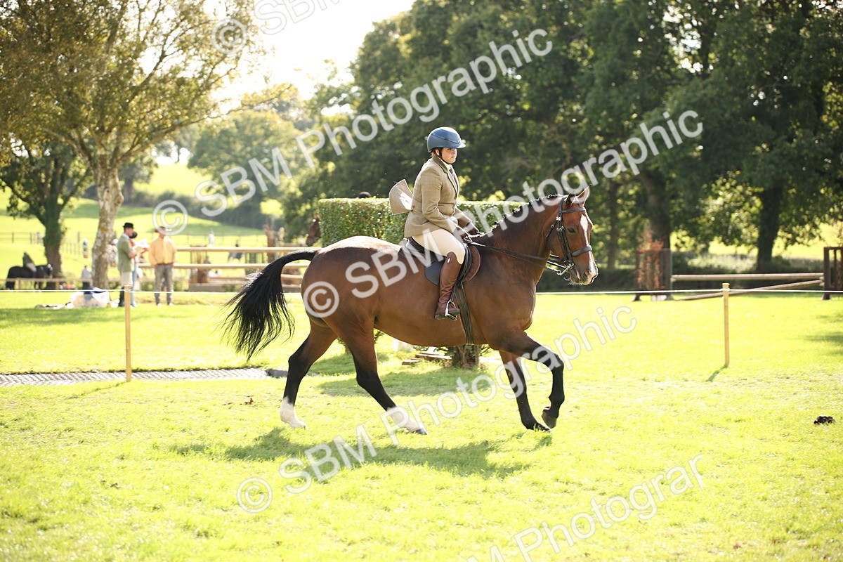 SBM_50065 - S26 - Young Veteran - Ridden