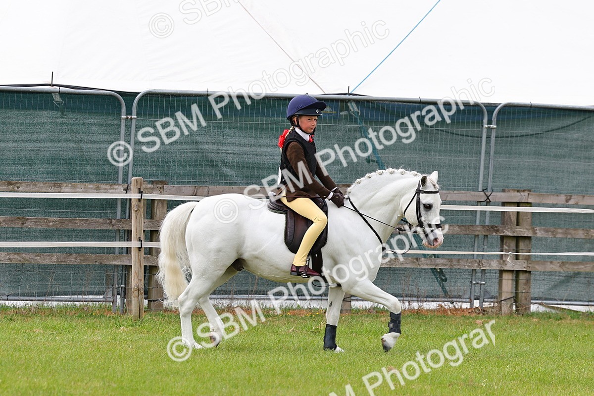 SBM_09576 - Class 44-45 - LIHS BSPS Open Nursery and Cradle Stakes