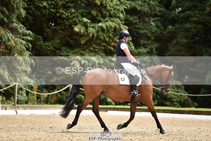 140110A-032322-11261 - 180-Beth.Taylor