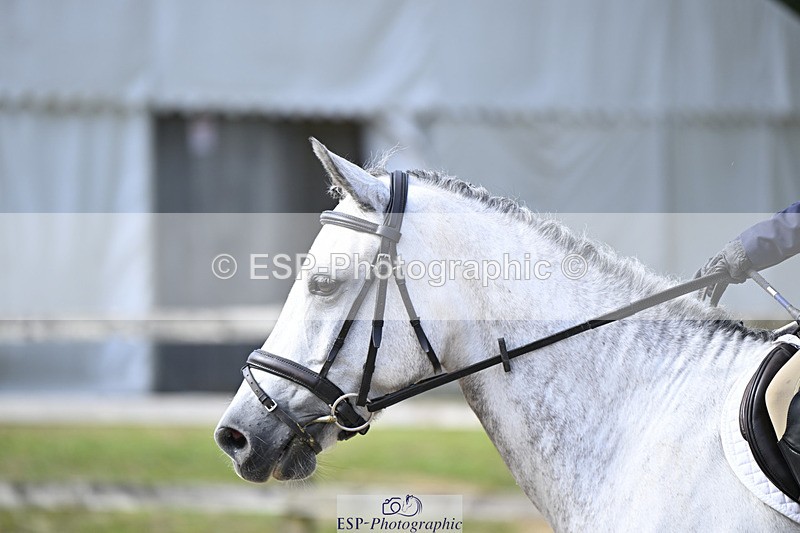 240823X-160958-19069 - 70cm R2 15.20 to 16.40