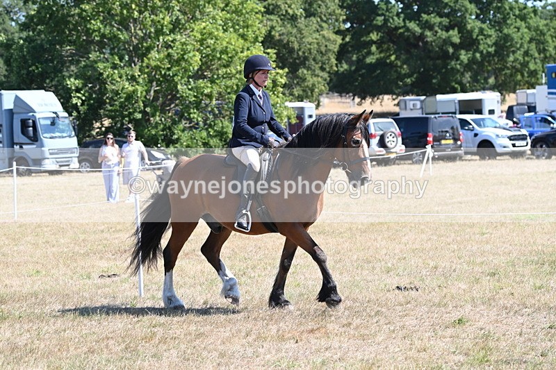 WJ6_8222 - Class 37a Best Loan Pony Ridden