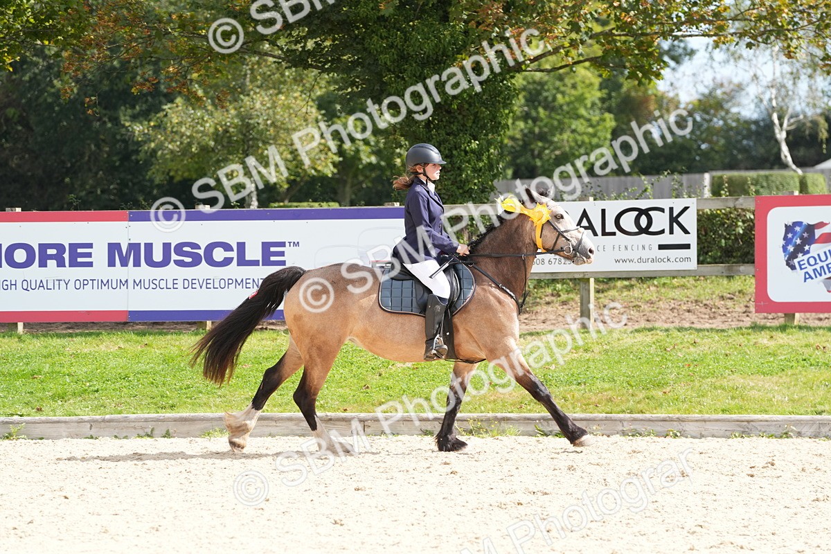 SBM_38940 - J21 - Junior Horse 60cm Championship