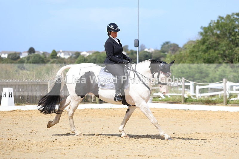 3E7A4084 - Class 9: Novice 6 Section B Championship