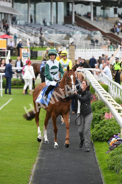 yr11062022r1-33 - Race 1 12.45pm Macmillan Ride of Their Lives, supported by Sky Bet