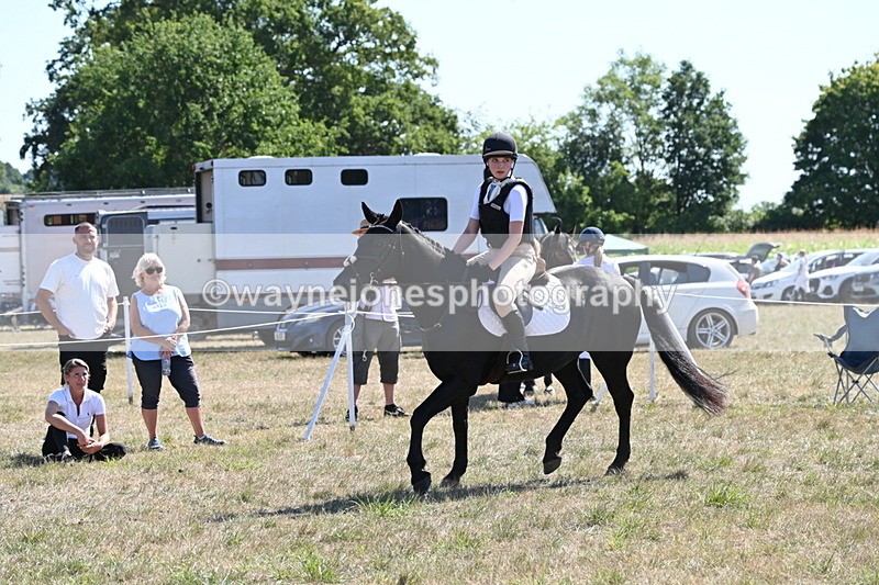 WJ6_8911 - Class 38 Ridden Riding Horse/Pony