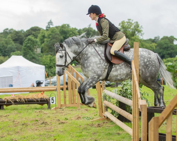Dunblane show-611 - Dunblane and Doune Show Ring 1