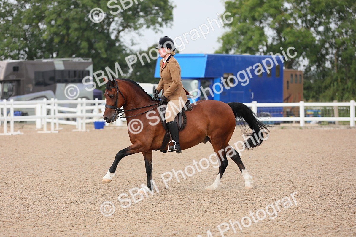 SBM_10032 - Class 302 Ridden M&M -Large Breeds