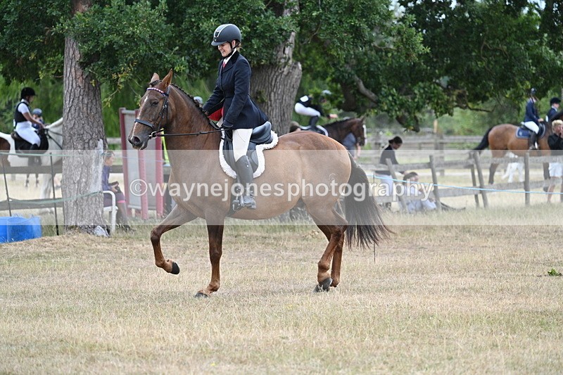 WJ7_0850 - Class 7 Riding Club Show Horse
