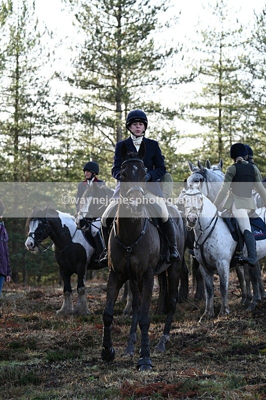 WJ7_7469 - Line 3 (no line 4 or 5)