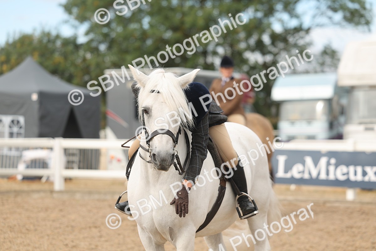 SBM_01997 - Class 14 - Ridden M&M Wildcard