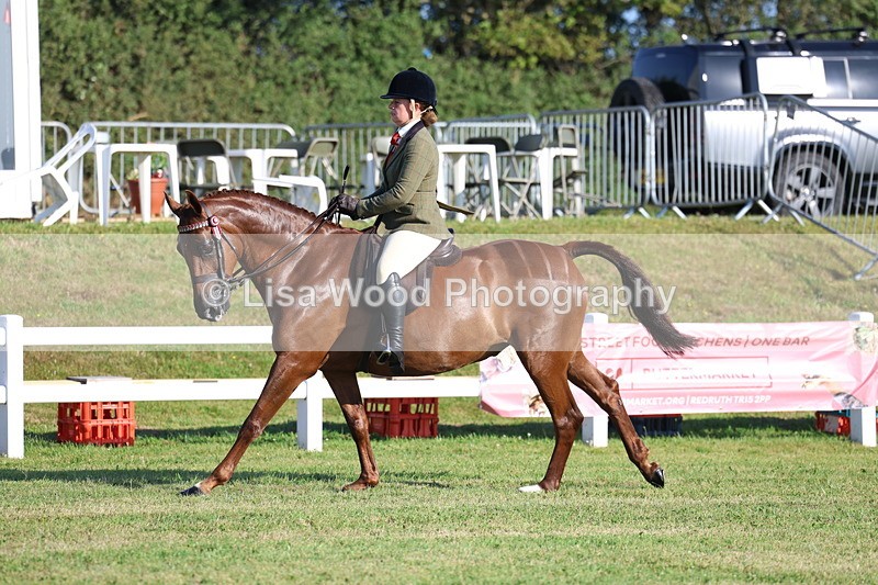 3E7A4999 - Class 1: Rising Star Small Hack/Riding Horses