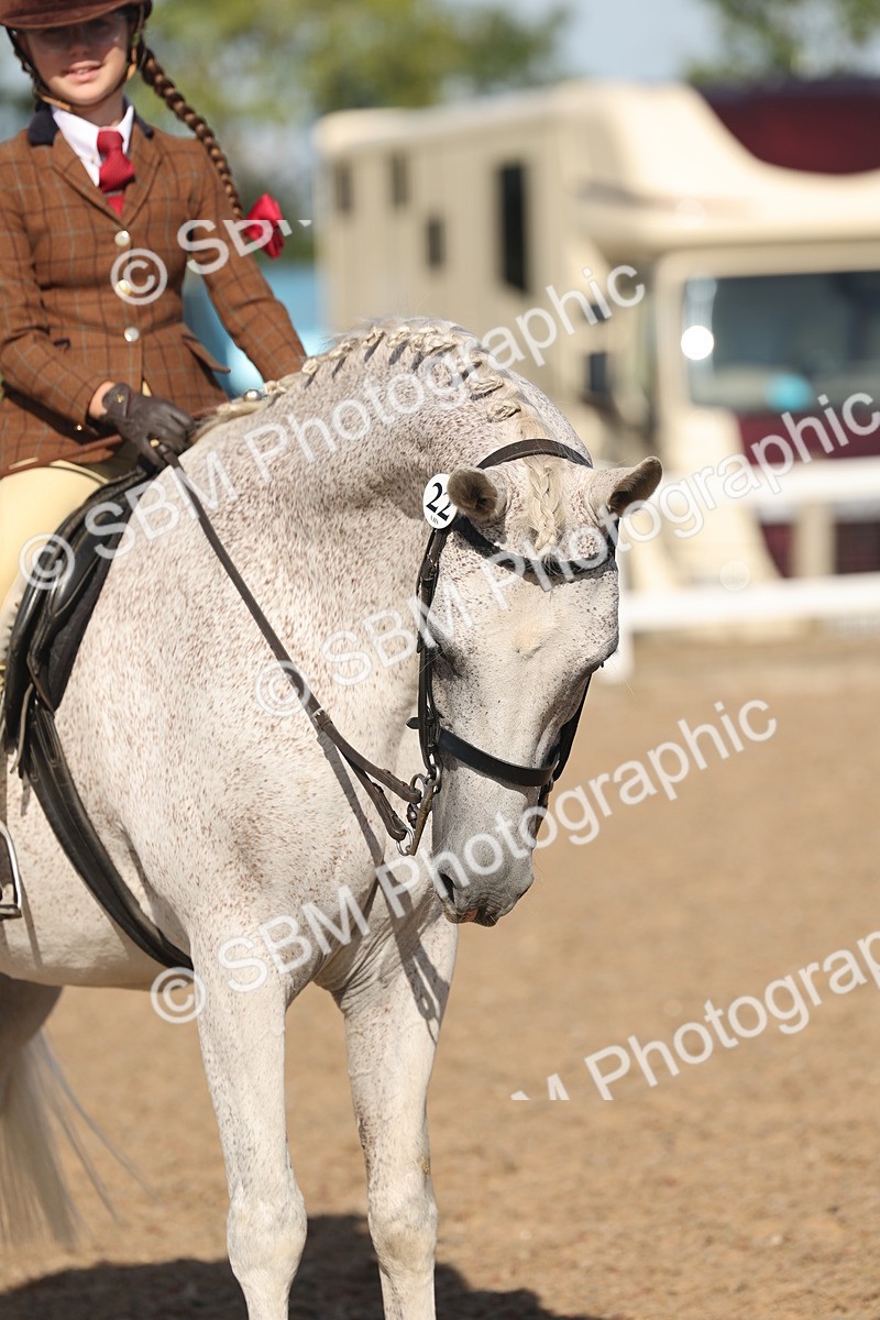 SBM_12353 - Class 304 - Ridden part Bred Horse Pony
