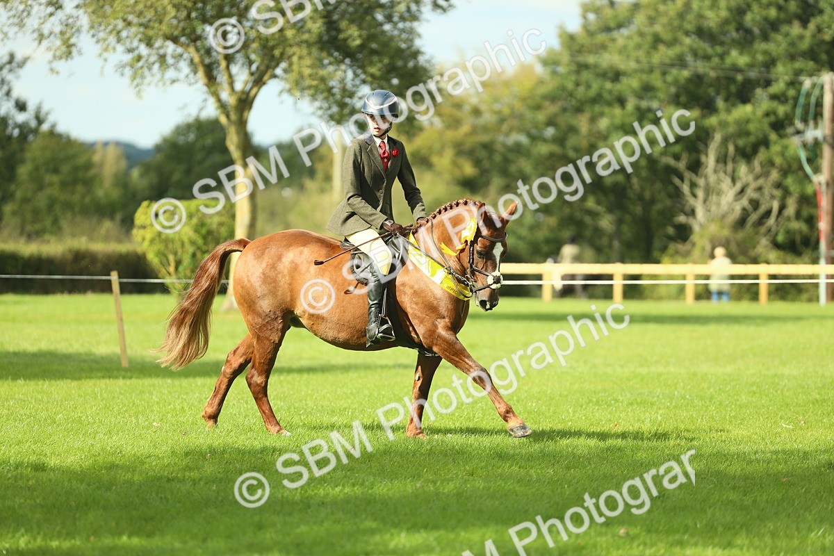 SBM_44927 - Working Hunter Pony Supreme Championship