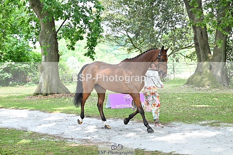 250521A-151826-00410 - B-362-Kat.Raybould-THE.ELLFIELD.DIKSTER