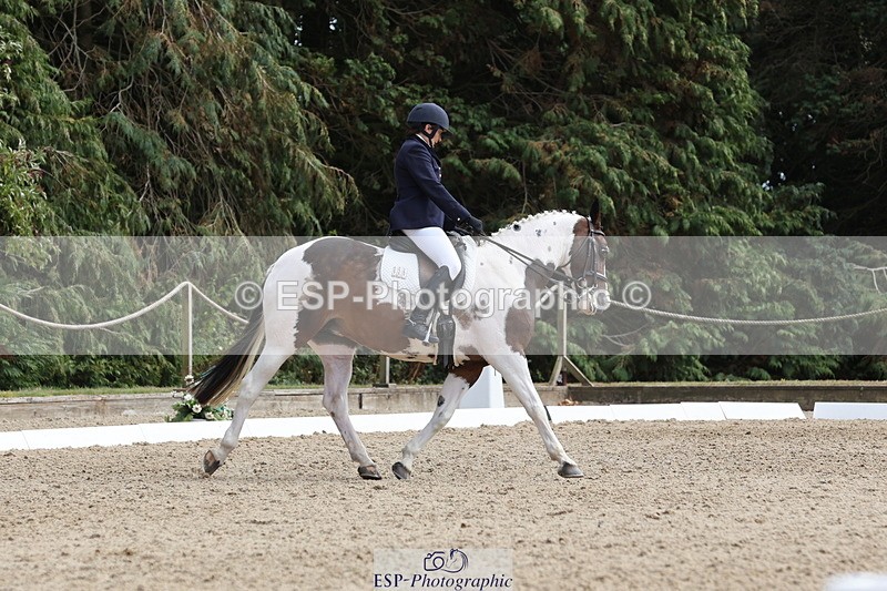 250809A-152002-04270 - 056-Debbie.SquiresMystic.Spirit