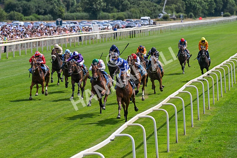 110726-Race 2-The Lost King-0121 - Race 2 14.39pm John Smith's Racing Handicap