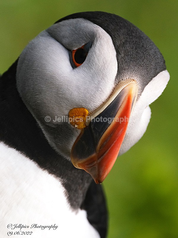  - Wildlife and Nature