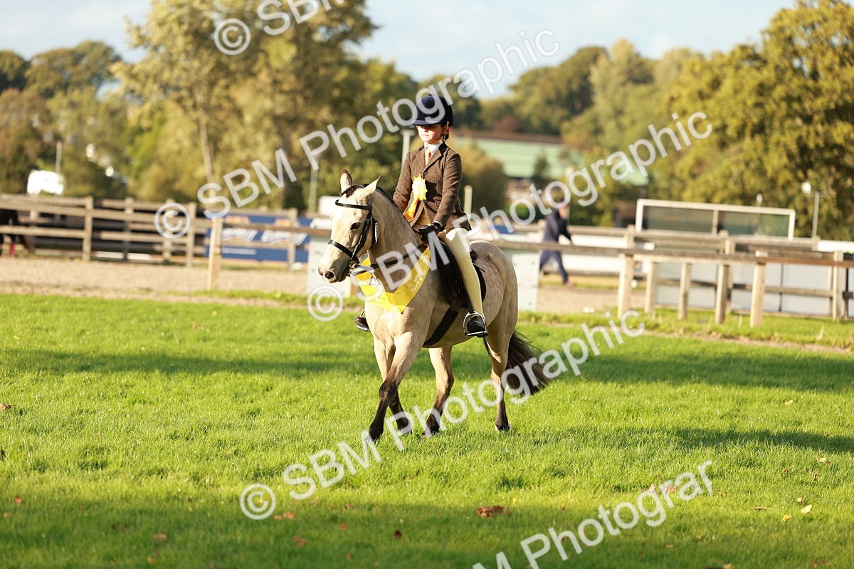SBM_29274 - Novice & newcomer Supreme Championship