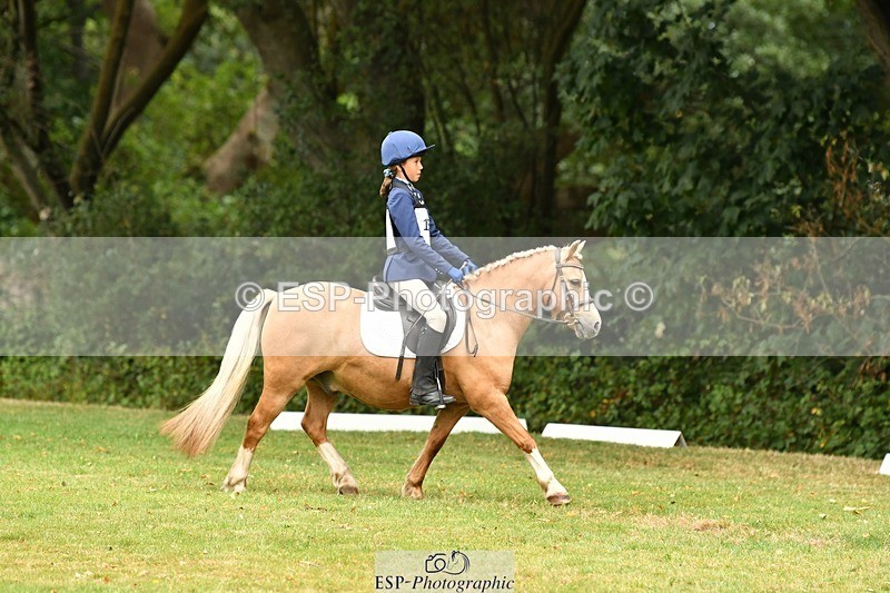 250820A-125605-05692 - 12 to 13.00