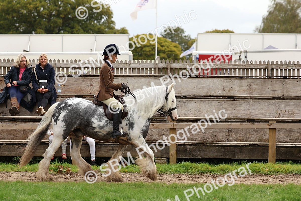 SBM_64411 - S58 - Coloured Pony Ridden