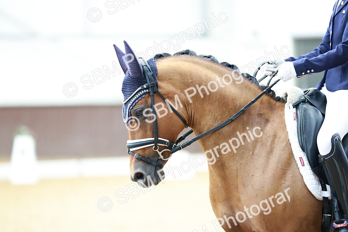SBM_017261 - Class15 - FEI Pony