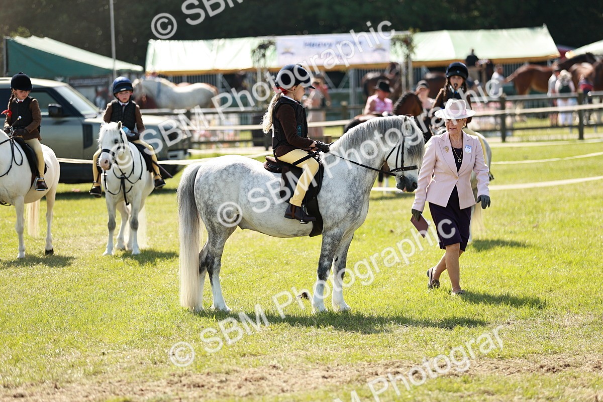 SBM_12772 - Class 106-107 - BSPS LIHS Working Sports Pony