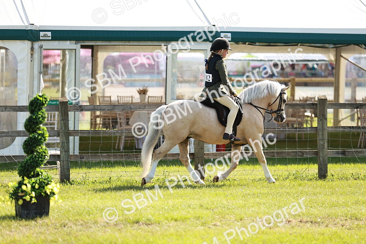 SBM_12576 - Class 106-107 - BSPS LIHS Working Sports Pony