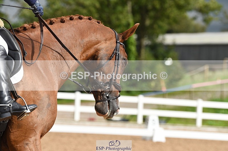 230912A-111354-00548 - Cls 7 Elementary 40