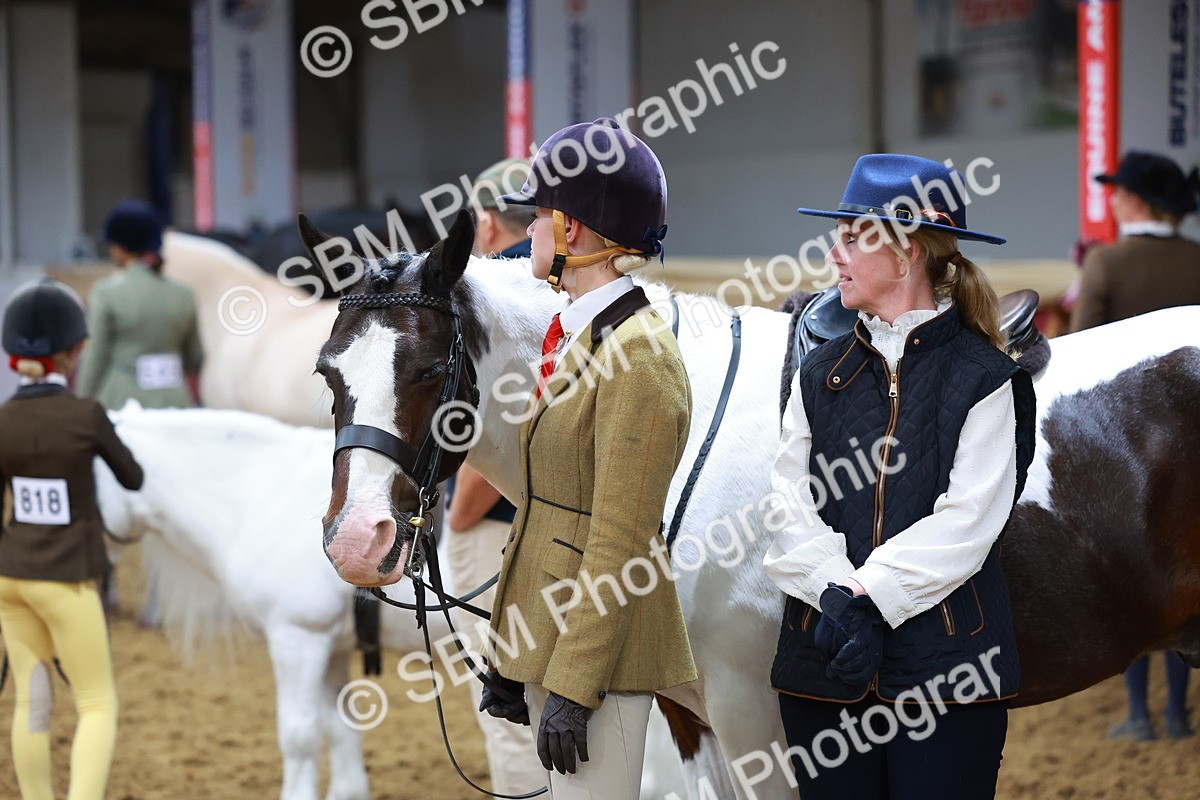 SBM_09536 - Class 102 - HOYS Veteran Qualifier - Ridden Veteran