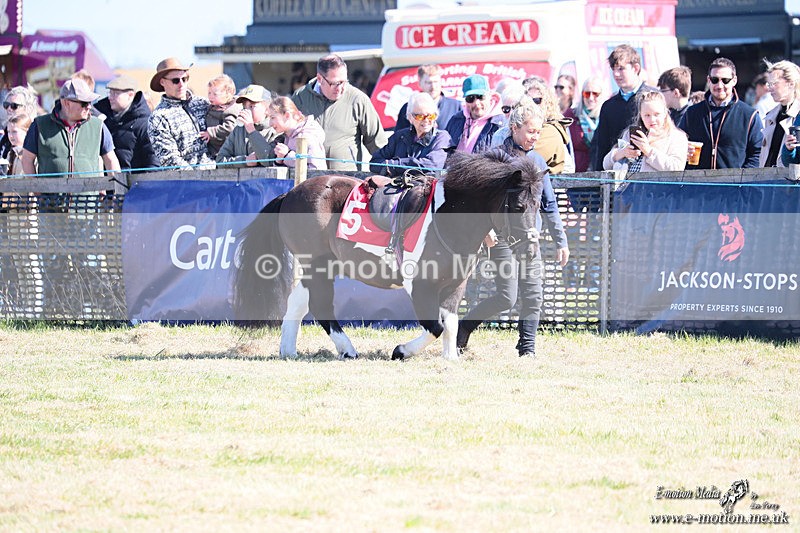 Shet 060426 8 - Shetland Pony Racing Paxford Races Easter Mon 06/04/26