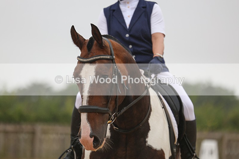 3E7A8371 - Class 2: Intro 3 2024 section B