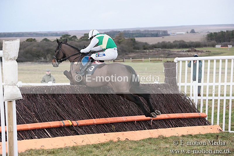 PtP 230119 180 - Royal Artillery Point-to-Point  - Larkhill  - 26/01/19