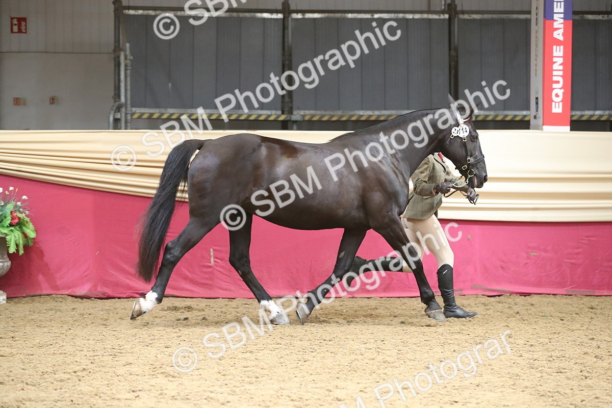 SBM_05298 - Class 8R - Regional IH Veteran