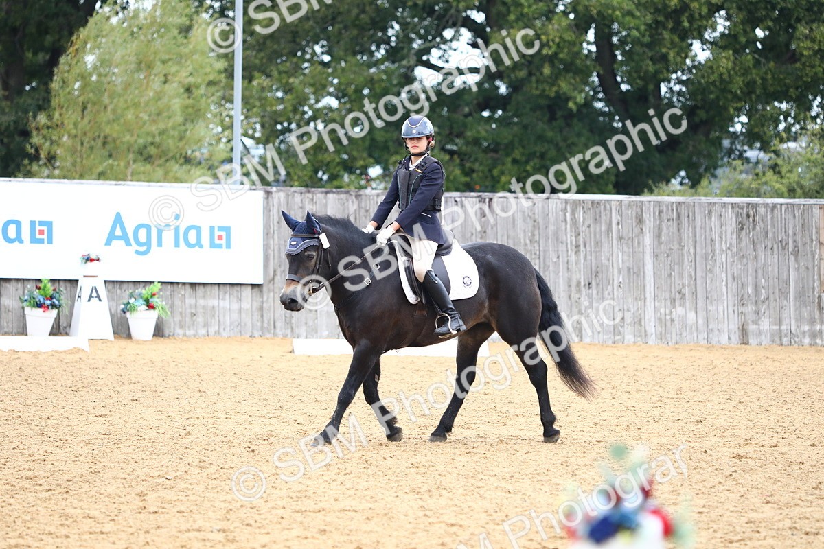 SBM_42720 - D21 - Junior Championship Intro 1
