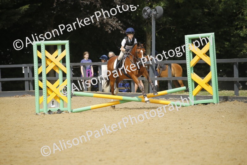 20250622-3812 - 50cm